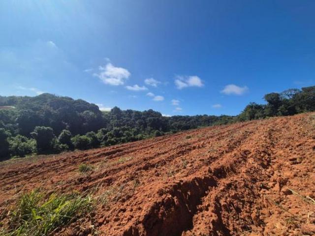 Terreno venda em Região Imediata de Sorocaba, Região Metropolitana de Sorocaba