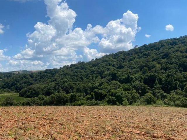 Terreno venda em Região Imediata de Sorocaba, Região Metropolitana de Sorocaba