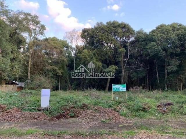 Terreno venda em Região Geográfica Imediata de Passo Fundo, Passo Fundo
