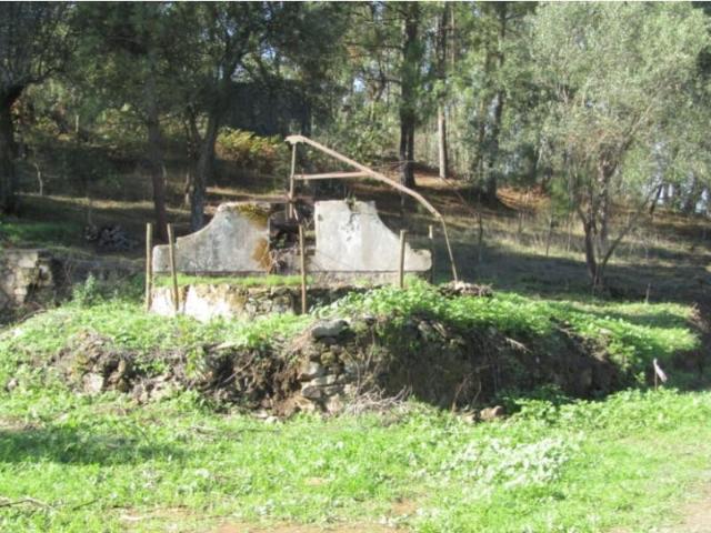 Terreno venda em Abrantes, Santarém