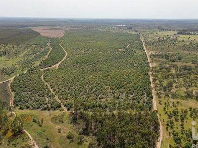 Terreno venda em Chaminé, Abrantes