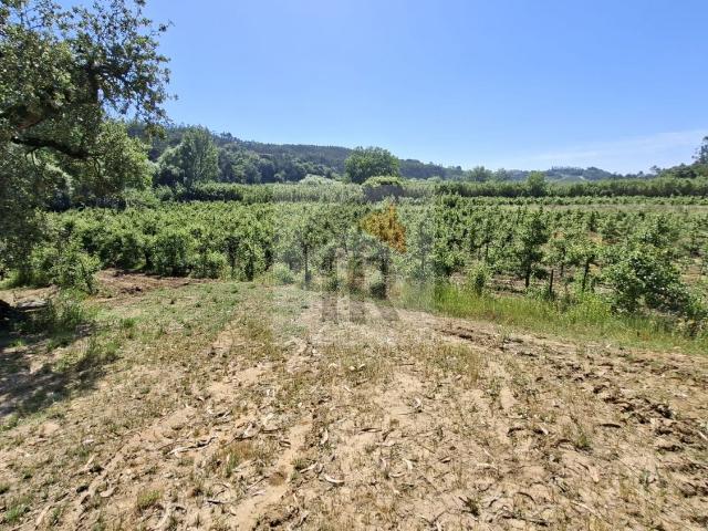 Terreno venda em Caldas Da Rainha, Leiria