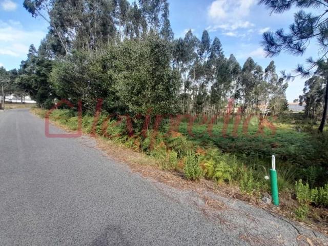 Terreno venda em Águeda, Aveiro