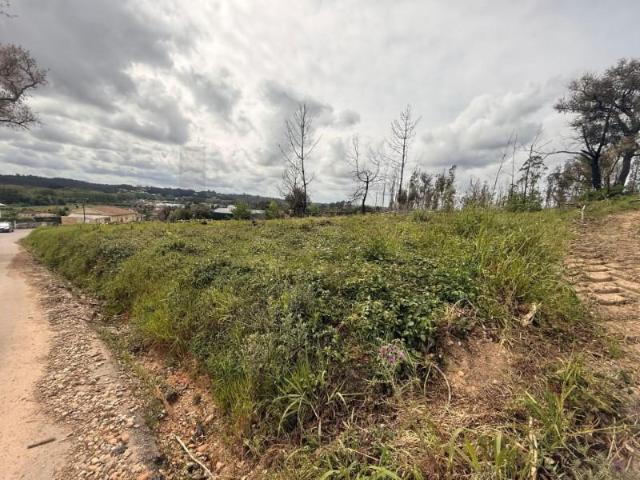 Terreno venda em Águeda, Aveiro