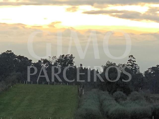 Terreno venda em Águeda, Aveiro
