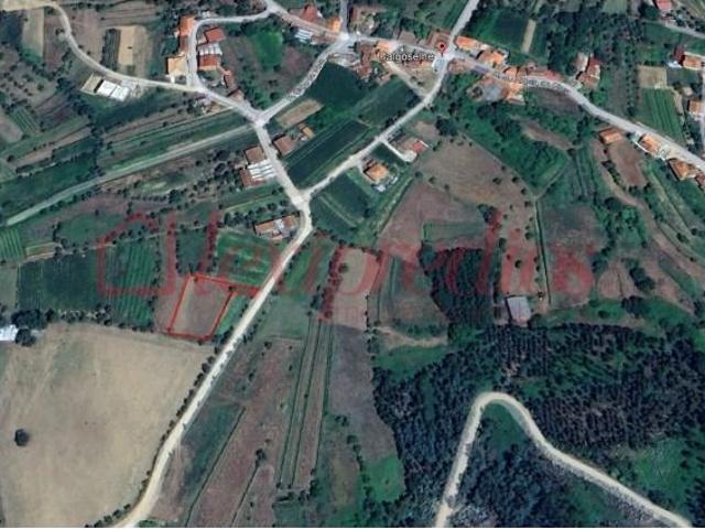 Terreno venda em Águeda, Aveiro