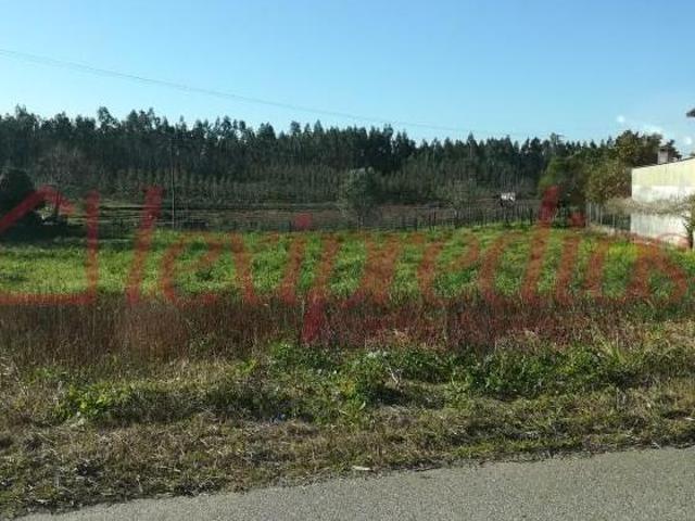 Terreno venda em Águeda, Aveiro