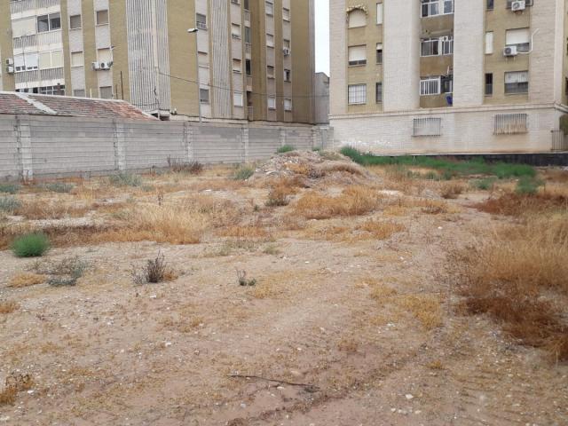Terreno en venta en el Baix Segura / La Vega Baja, Valencia