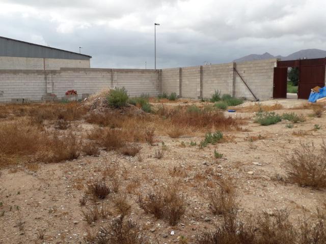 Terreno en venta en el Baix Segura / La Vega Baja, Valencia
