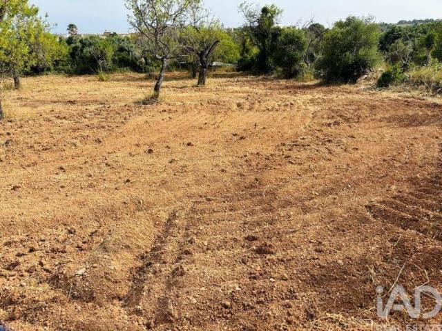 Terreno venda em Albufeira, Faro