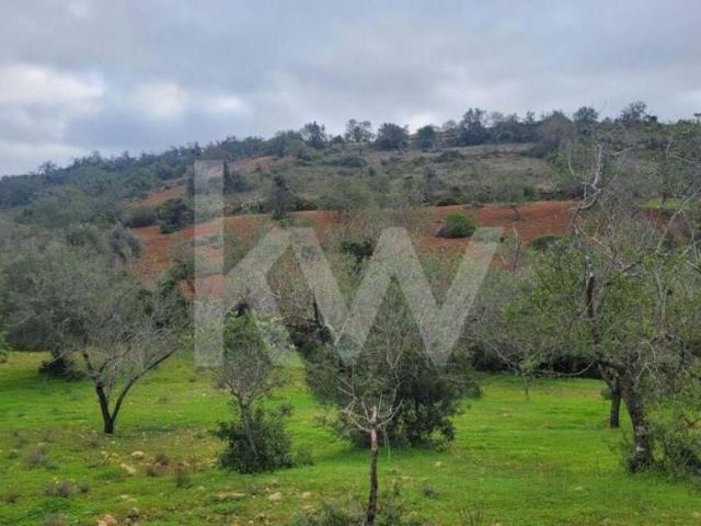 Terreno venda em Albufeira, Faro