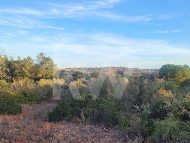 Terreno venda em Albufeira, Faro
