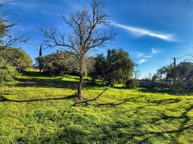 Terreno venda em Vale de Pegas, Albufeira