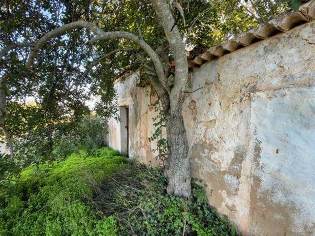 Terreno venda em Vale de Pegas, Albufeira