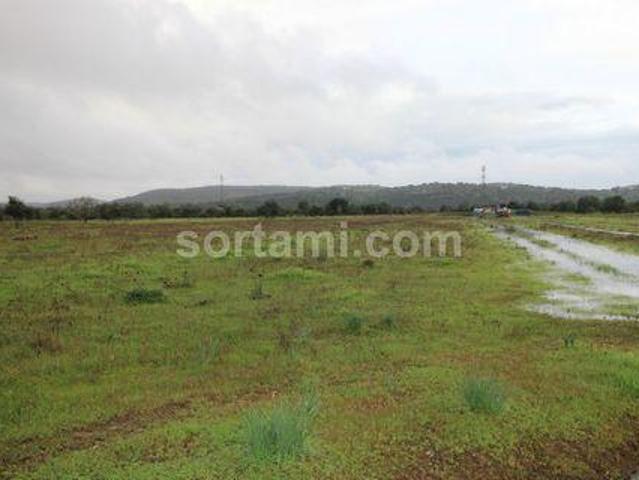 Terreno venda em Albufeira, Faro