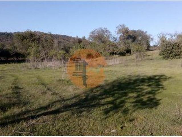 Terreno venda em Albufeira, Faro
