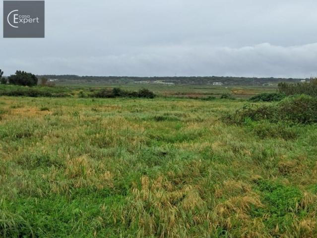 Terreno venda em Alcácer Do Sal, Setúbal