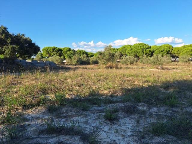 Terreno venda em Alcácer Do Sal, Setúbal