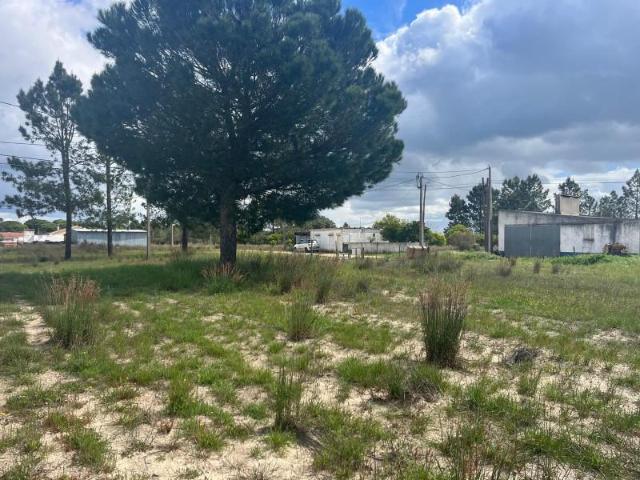 Terreno venda em Alcácer Do Sal, Setúbal