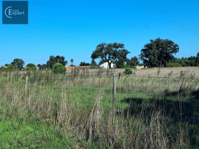 Terreno venda em Alcácer Do Sal, Setúbal
