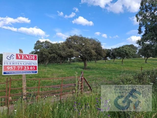 Terreno en venta en Alcaracejos, Andalucía
