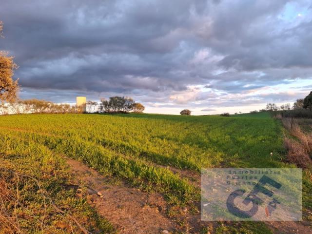 Terreno en venta en Alcaracejos, Andalucía