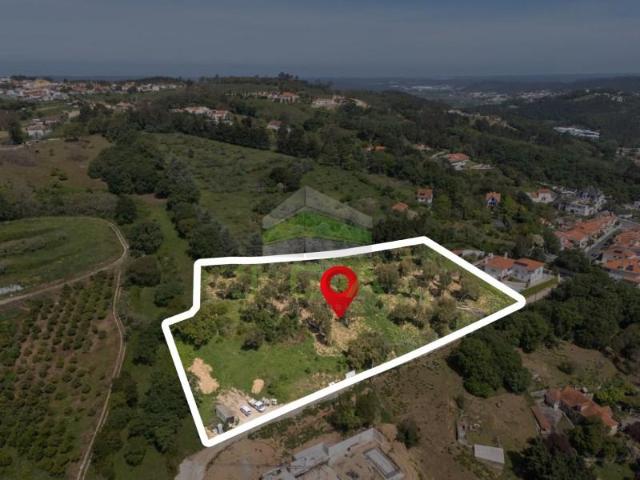 Terreno venda em Aliceira, Alcobaça