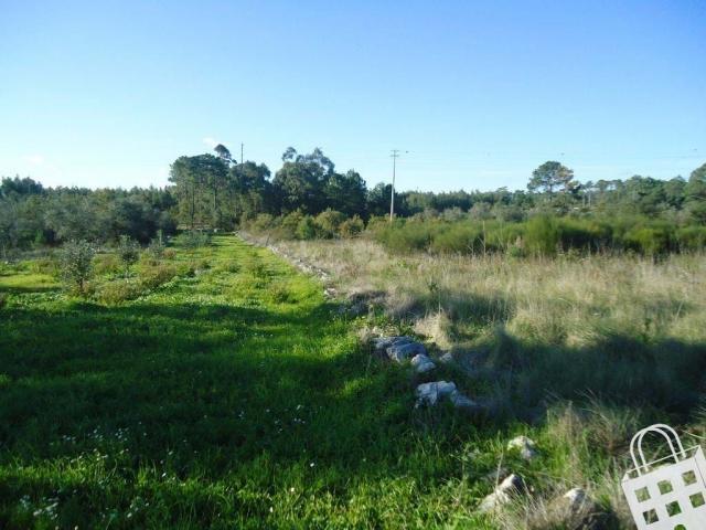 Terreno venda em Alcobaça, Leiria
