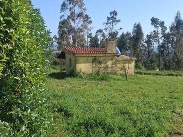 Terreno venda em Alcobaça, Leiria