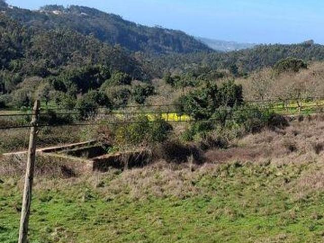 Terreno venda em Casal da Lagoa, Alcobaça