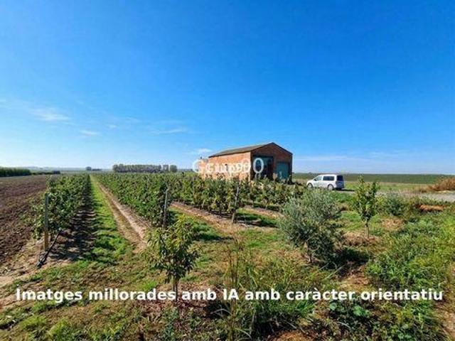 Terreno en venta en Polígon industrial La Nora, Alcoletge
