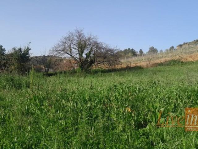 Terreno venda em Palaios, Alenquer