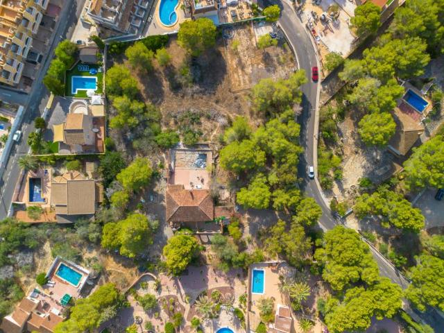 Terreno en venta en el Baix Segura / La Vega Baja, Valencia