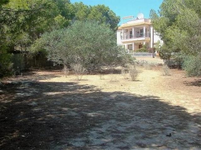 Terreno en venta en Algorfa