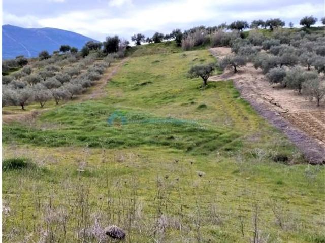 Terreno en venta en Valle del Guadalhorce, Andalucía