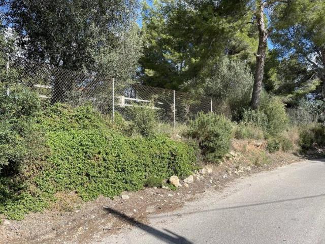 Terreno en venta en la Marina Alta, Valencia