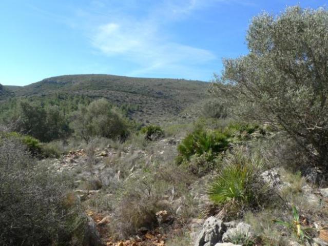 Terreno en venta en la Marina Alta, Valencia