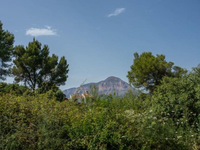 Terreno en venta en la Marina Alta, Valencia