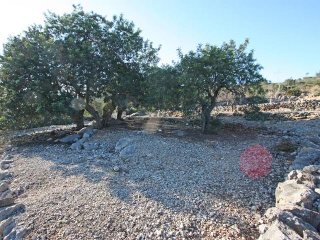Terreno en venta en la Marina Alta, Valencia