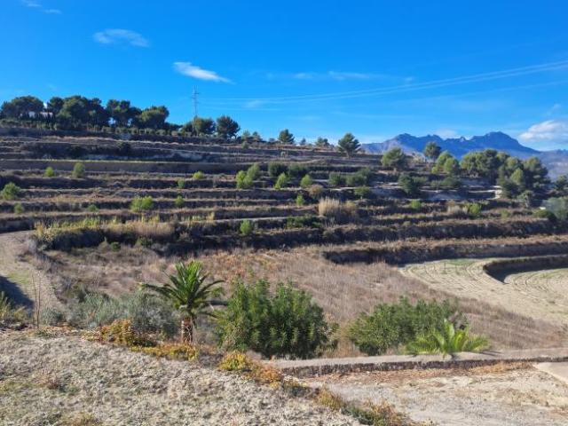 Terreno en venta en la Marina Alta, Valencia