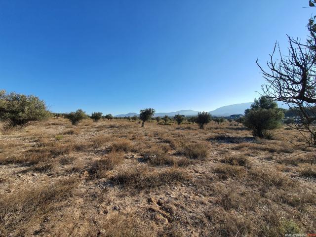 Terreno en venta en Comarca de València, Valencia