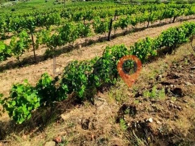 Terreno venda em Alijó, Vila Real
