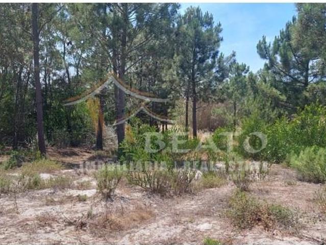 Terreno venda em Maria Vinagre, Aljezur