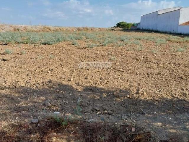 Terreno venda em Aljustrel Terreno venda em Aljustrel