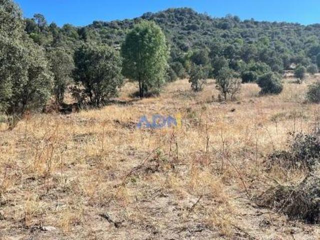 Terreno venda em Guarda, Almeida