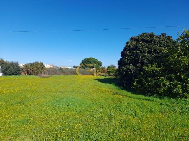 Terreno venda em Almeirim, Santarém