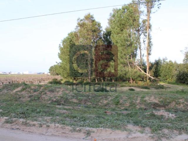 Terreno venda em Almeirim, Santarém