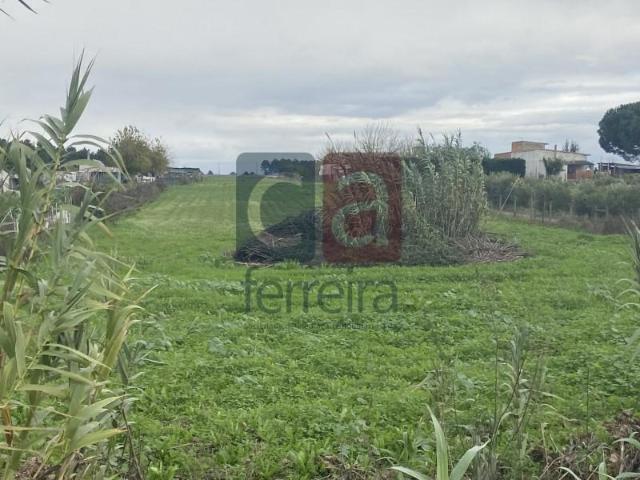 Terreno venda em Almeirim, Santarém