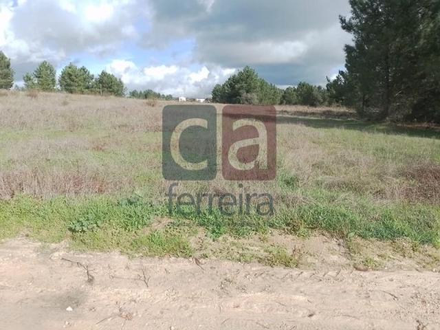 Terreno venda em Almeirim, Santarém