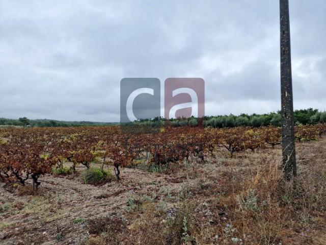 Terreno venda em Almeirim, Santarém